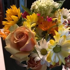 Meet your Posher, Nancy